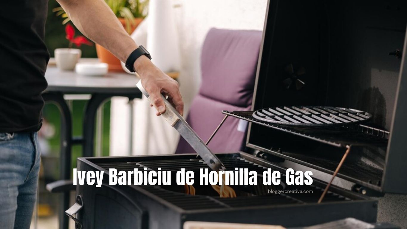 Ivey Barbiciu de Hornilla de Gas