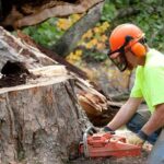 Why Tree Felling Is Essential for Garden Safety